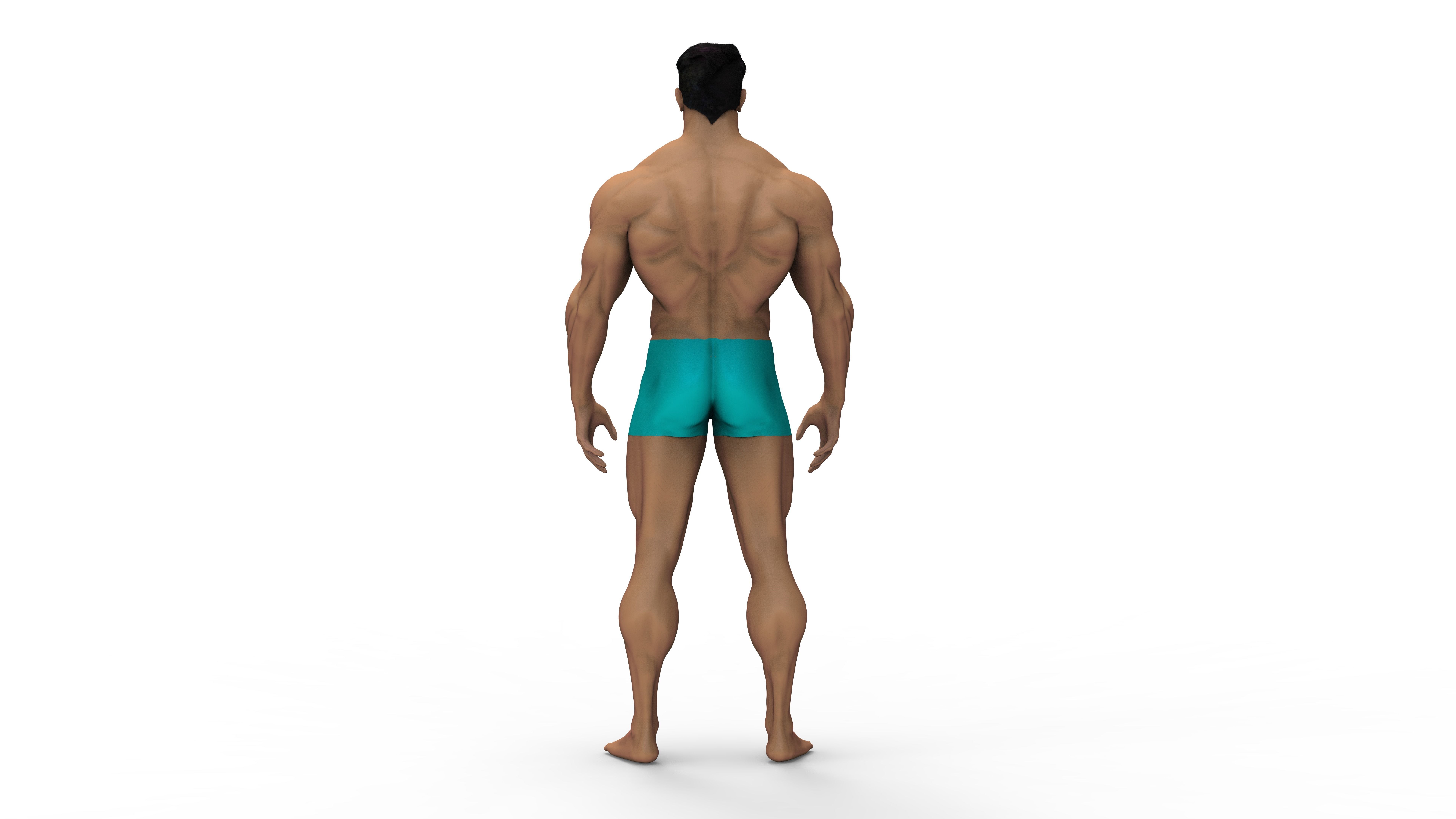 male anatomy study 3D print model 3D print model_2