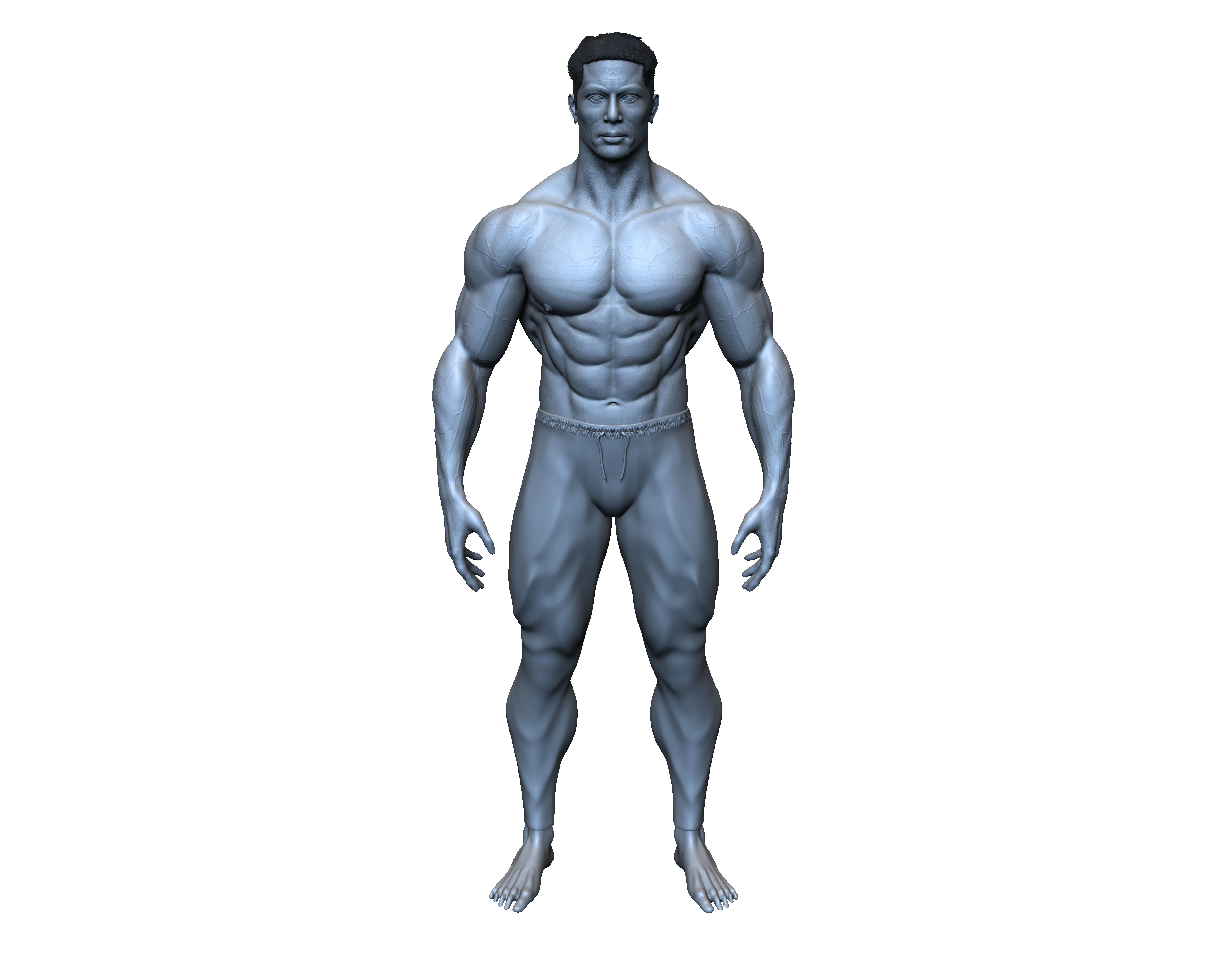 male anatomy study 3D print model 3D print model_7