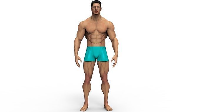 male anatomy study 3D print model 3D print model