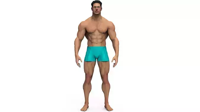 male anatomy study 3D print model 3D print model
