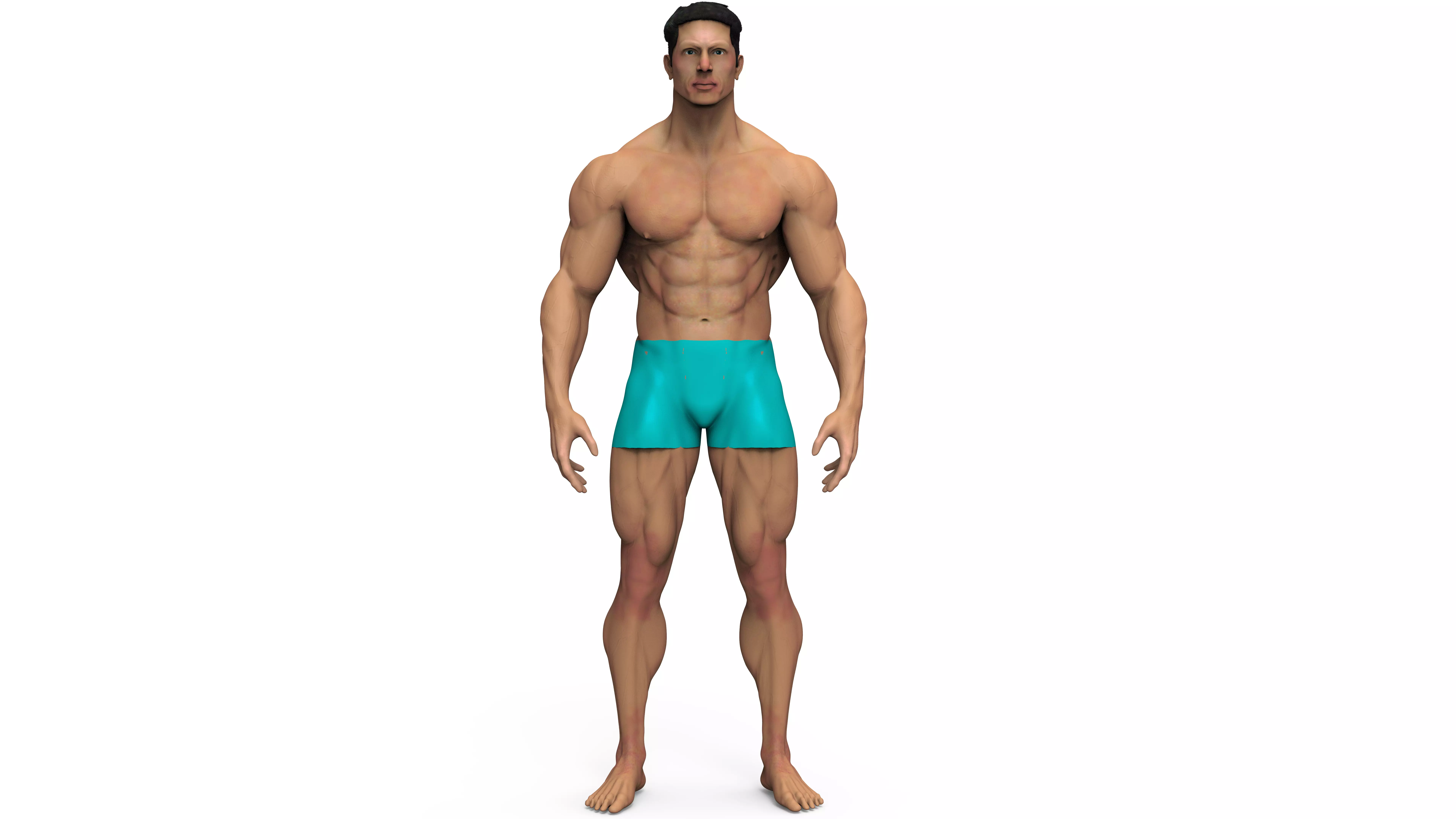 male anatomy study 3D print model 3D print model_0