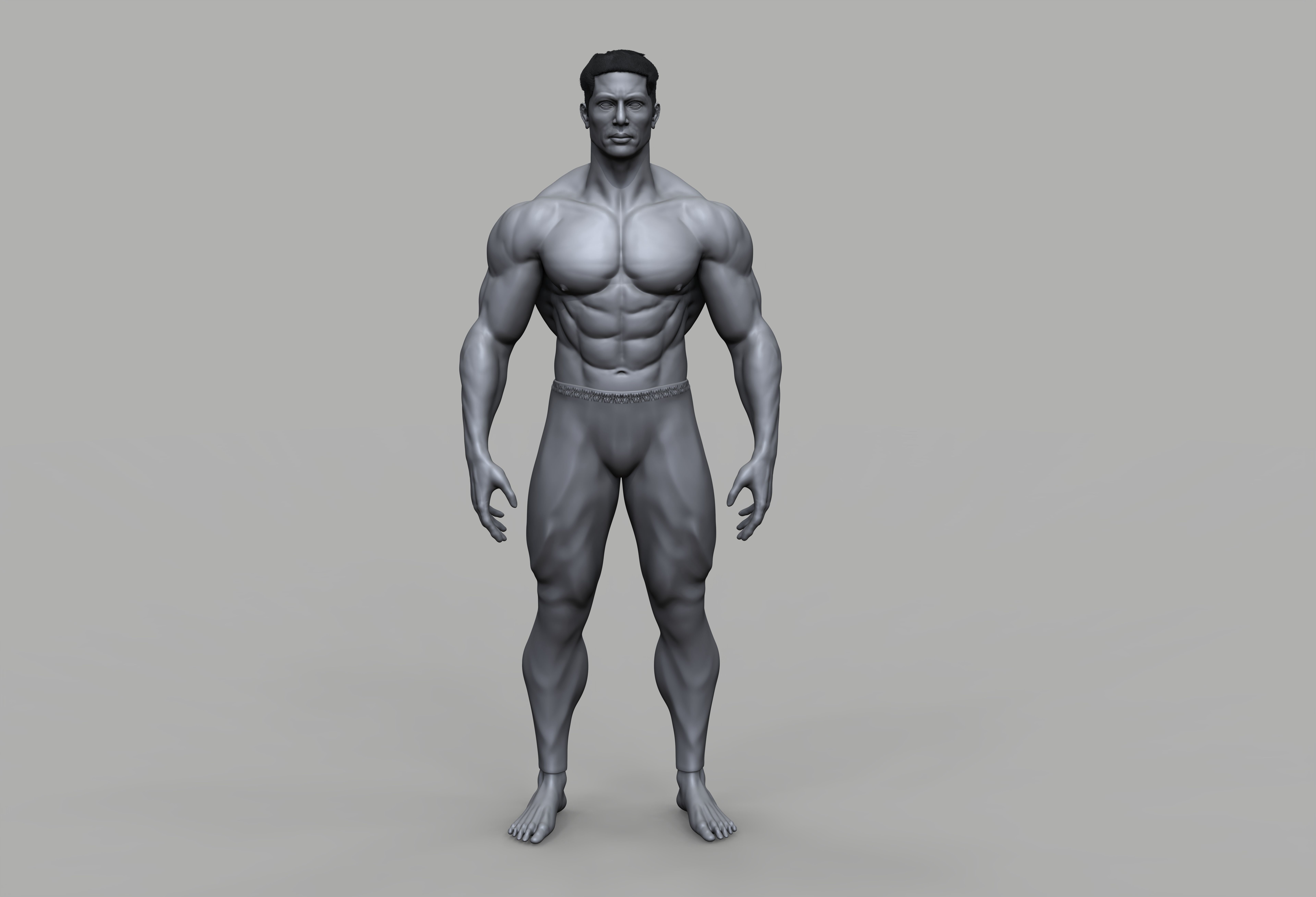 male anatomy study 3D print model 3D print model_6