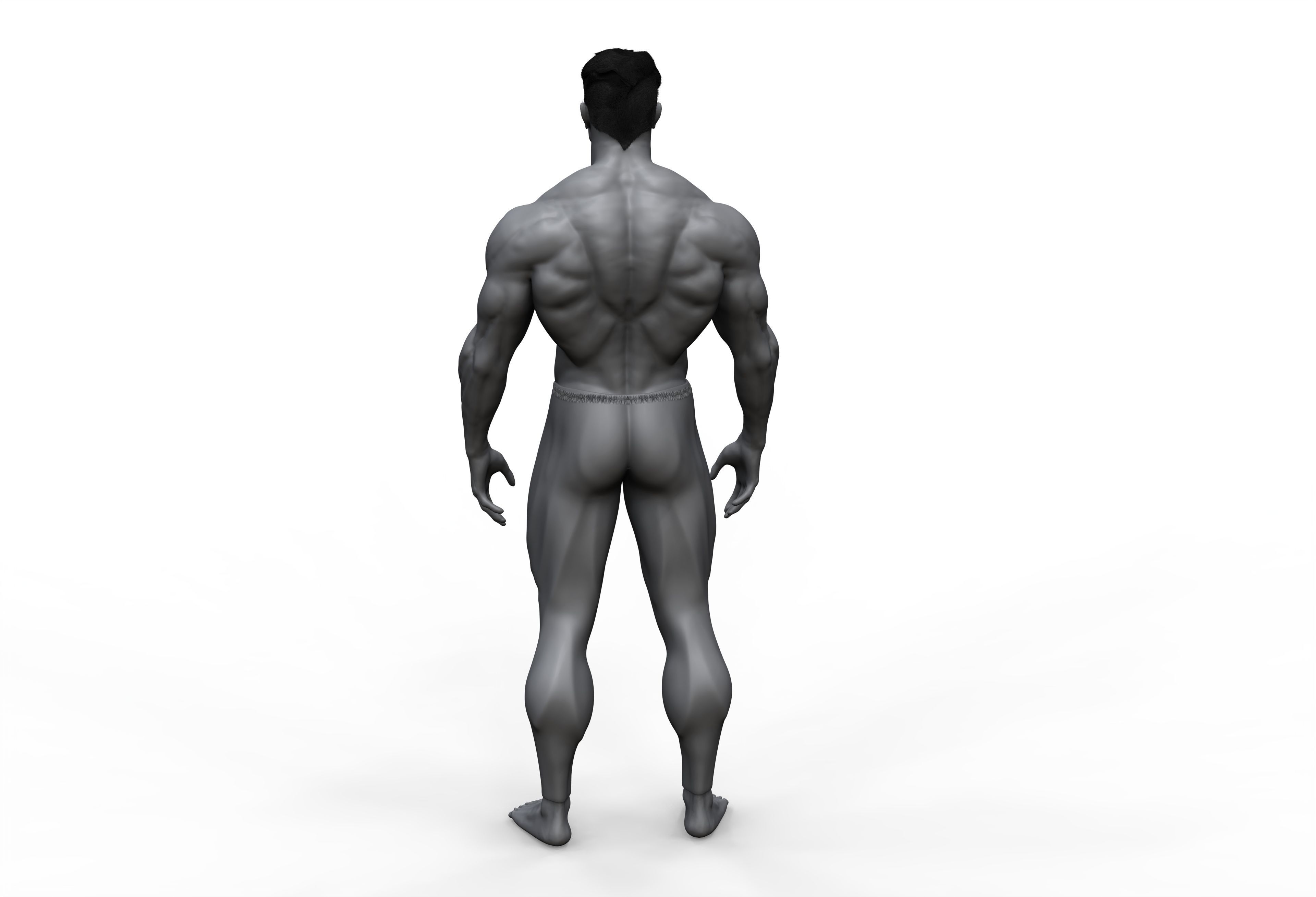 male anatomy study 3D print model 3D print model_5