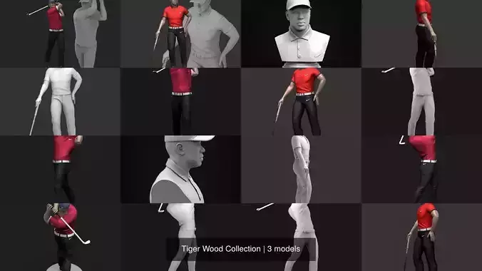 Tiger Wood Collection 