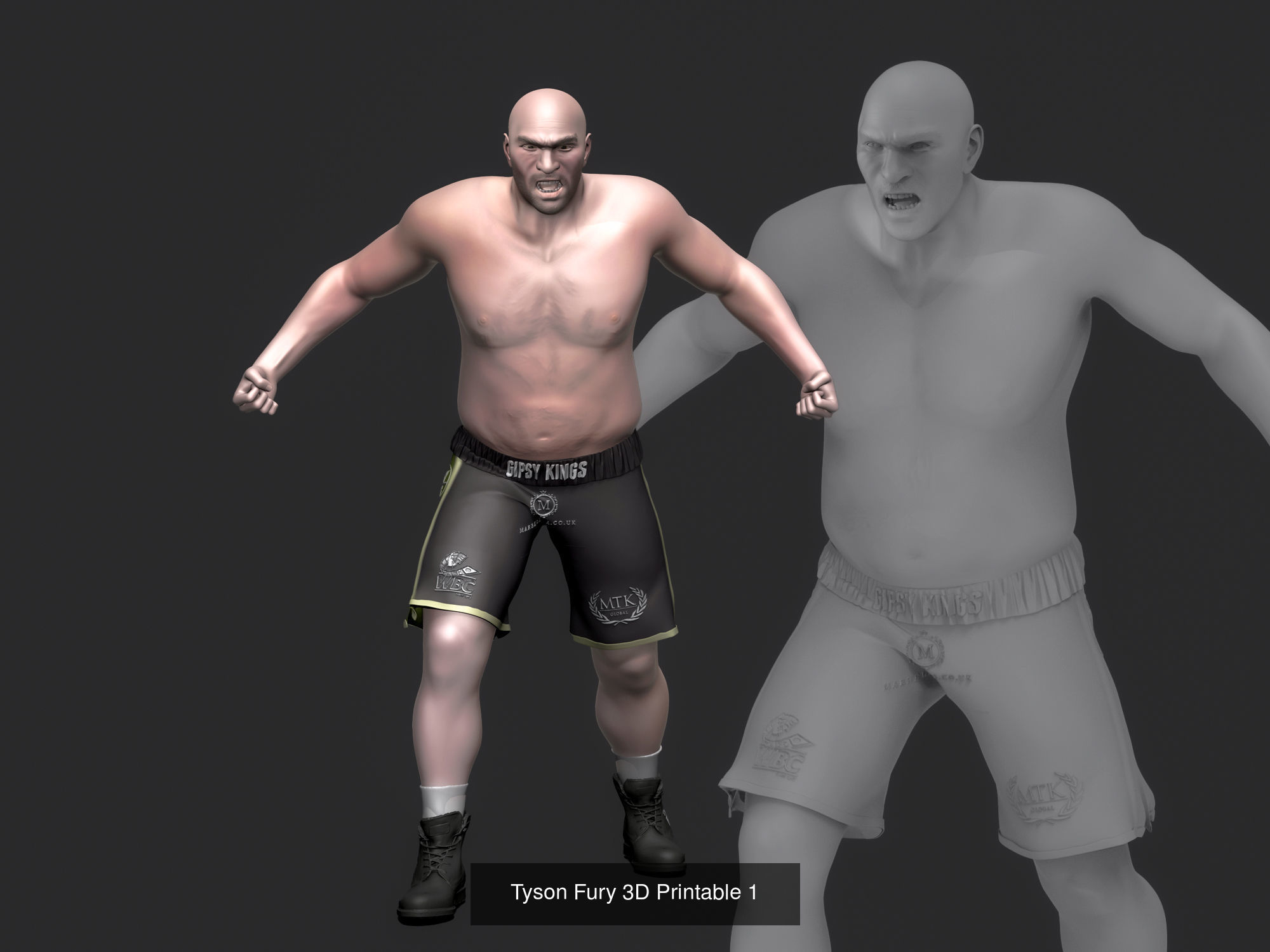 Tyson Fury Collection _1