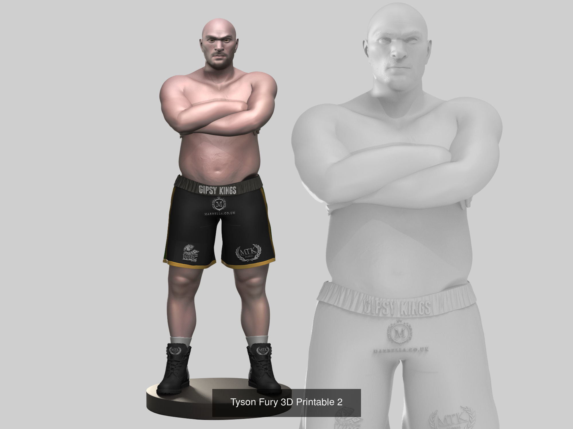 Tyson Fury Collection _2