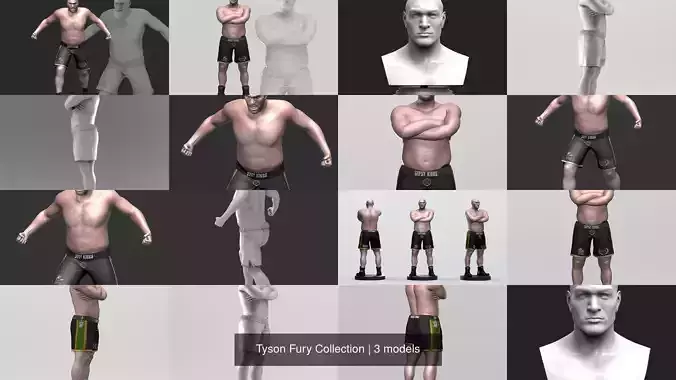 Tyson Fury Collection 