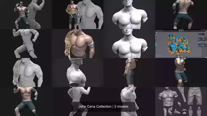 John Cena Collection 
