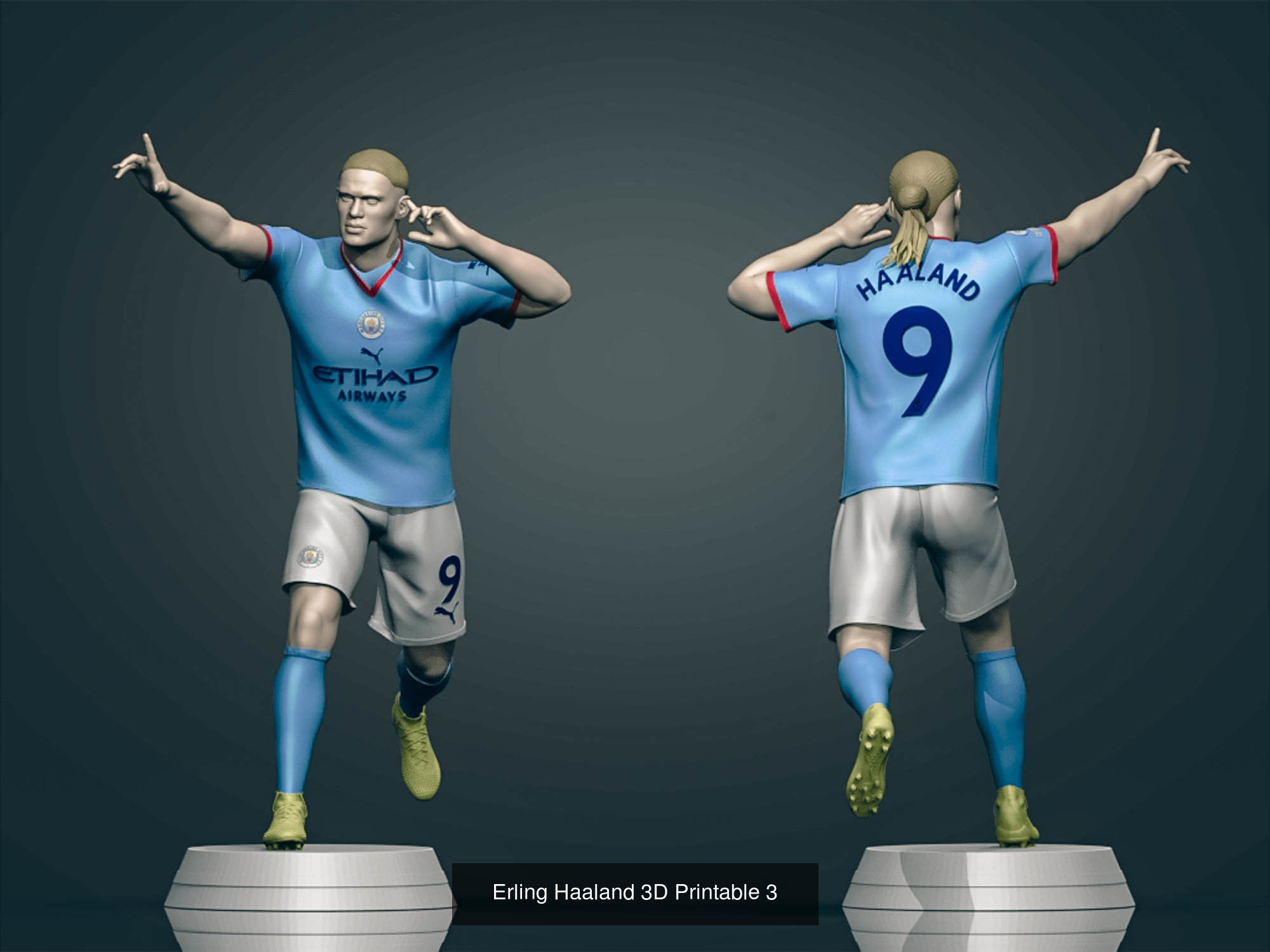 Erling Haaland Collection _2