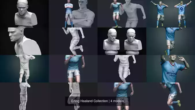 Erling Haaland Collection 