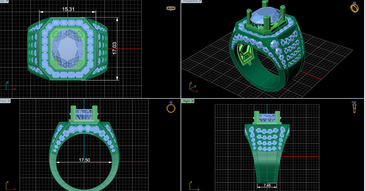 Ring 30  3D model_6