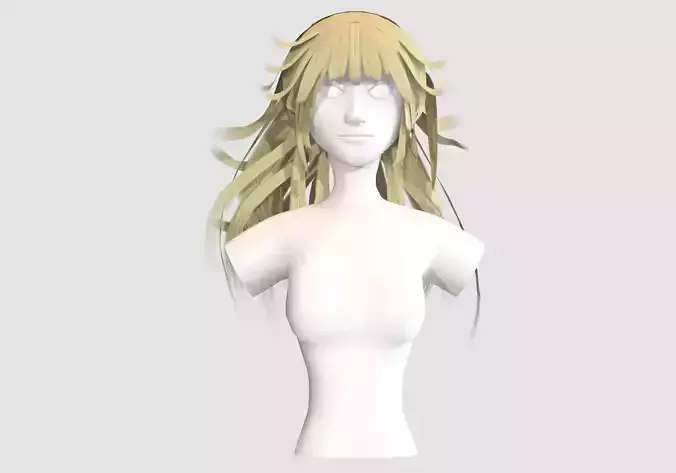Stylized Pigtail Hairstyle 