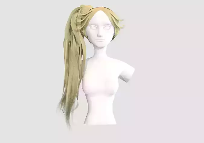 Side Pigtail Hairstyle 