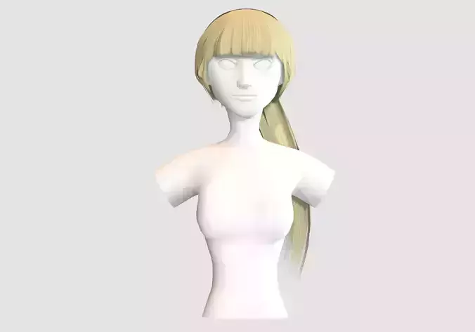 Pretty Pigtail Hairstyle 