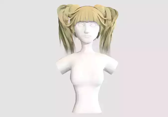 Pigtails Side Hairstyle 