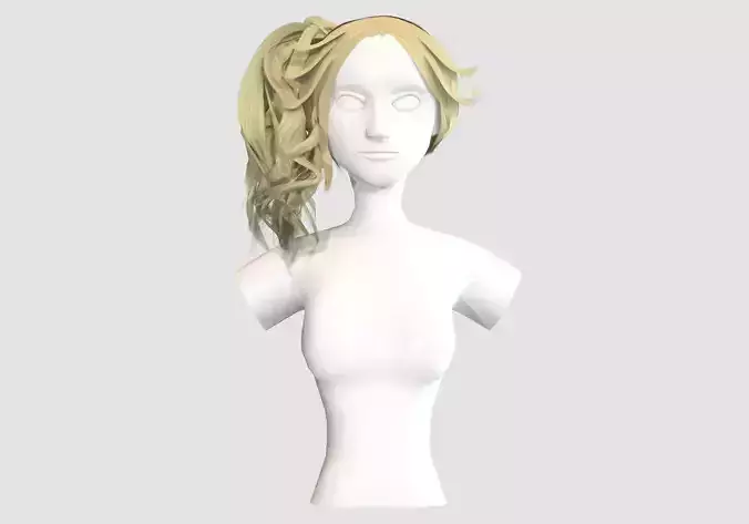 Pigtail Curly Hairstyle 