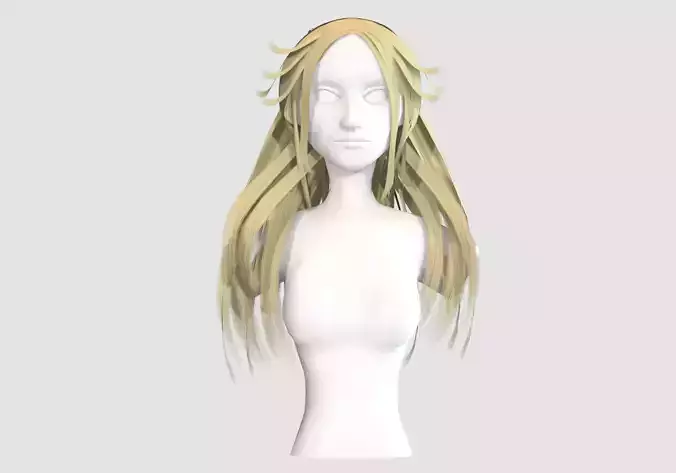 Long Stylized Hairstyle 