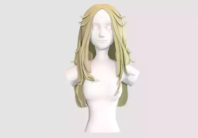 Long Classic Hairstyle 