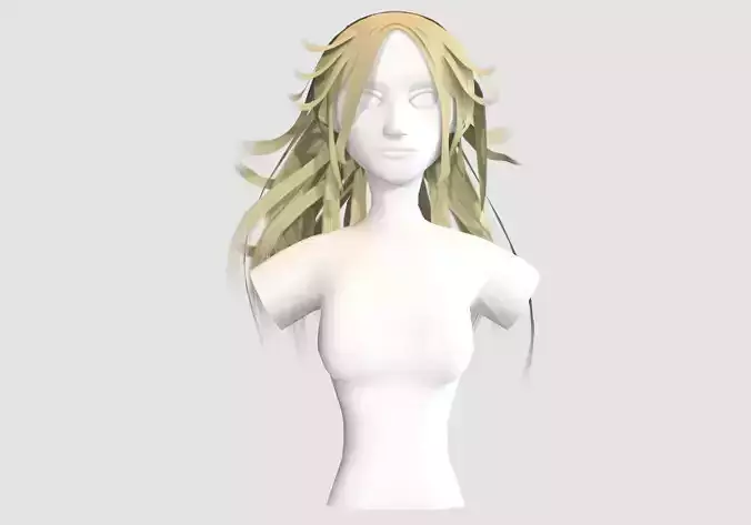 Female Pigtail Hairstyle 