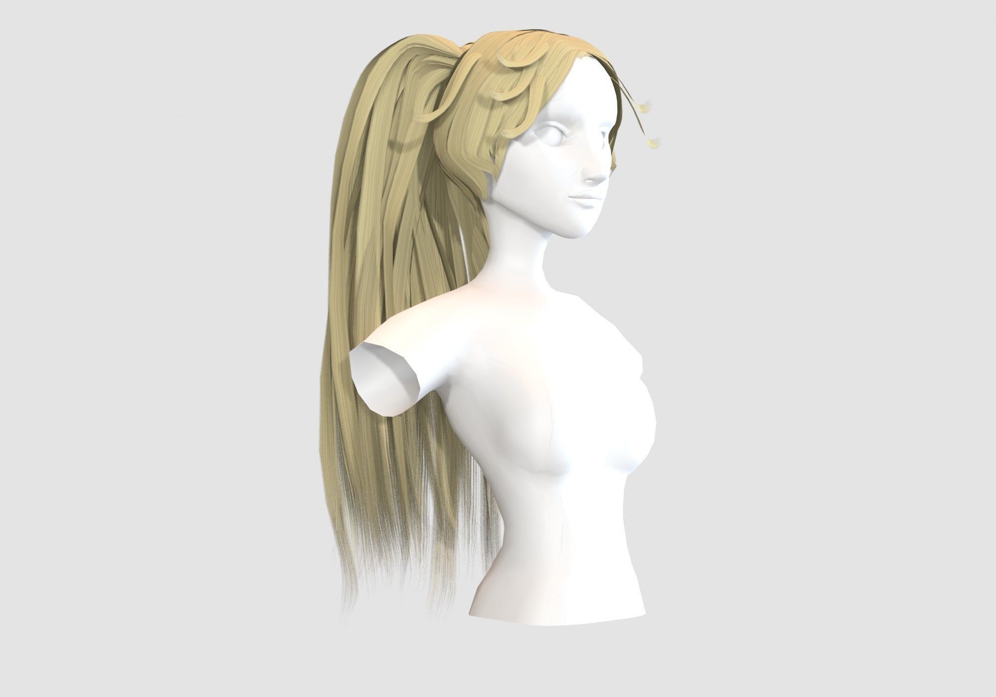 Female Long Hairstyle 3D model_1
