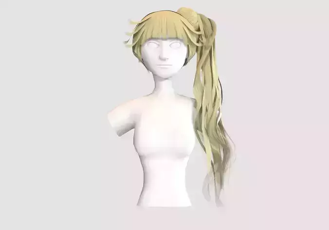 Bangs Pigtail Hairstyle 