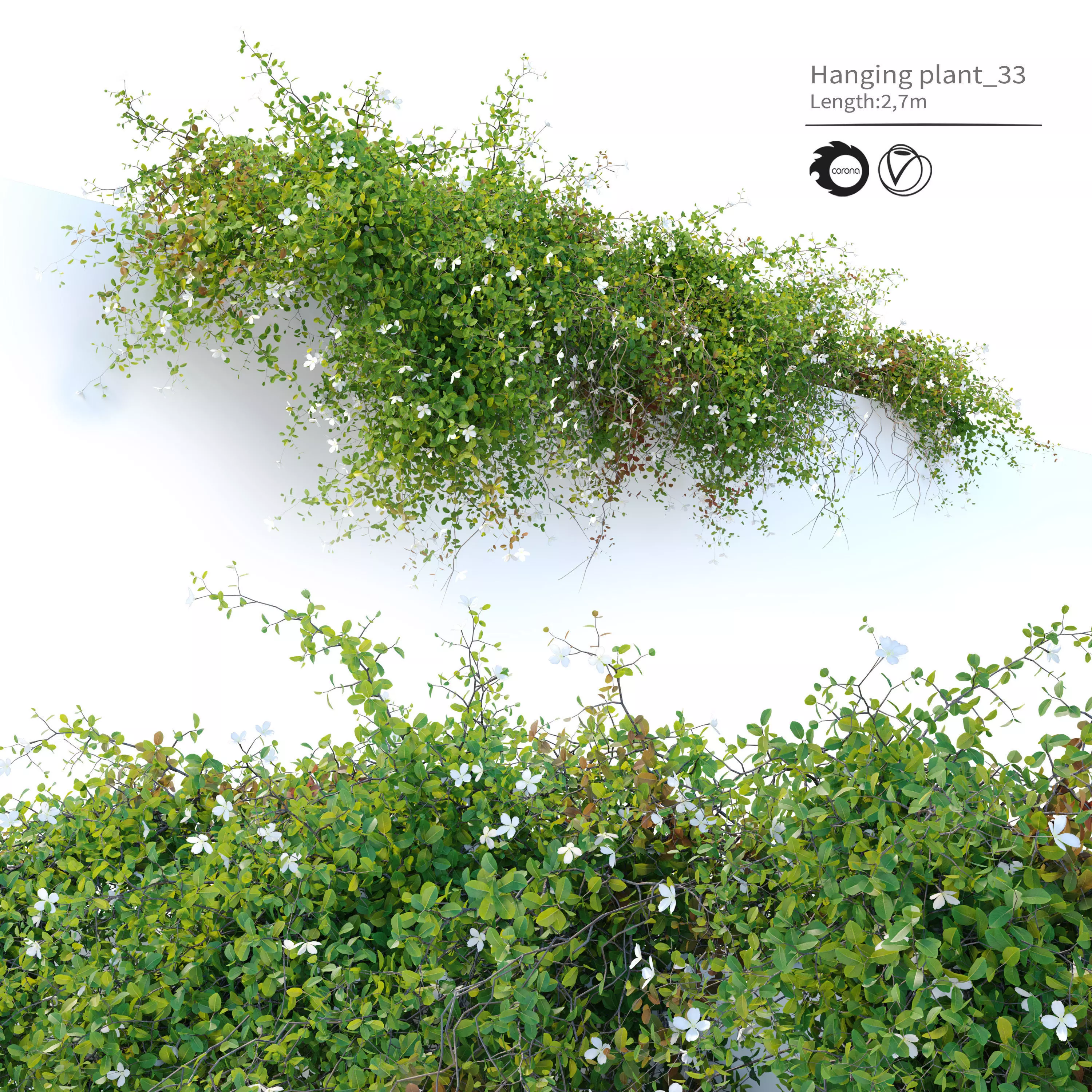 Hanging plant 33 3D model