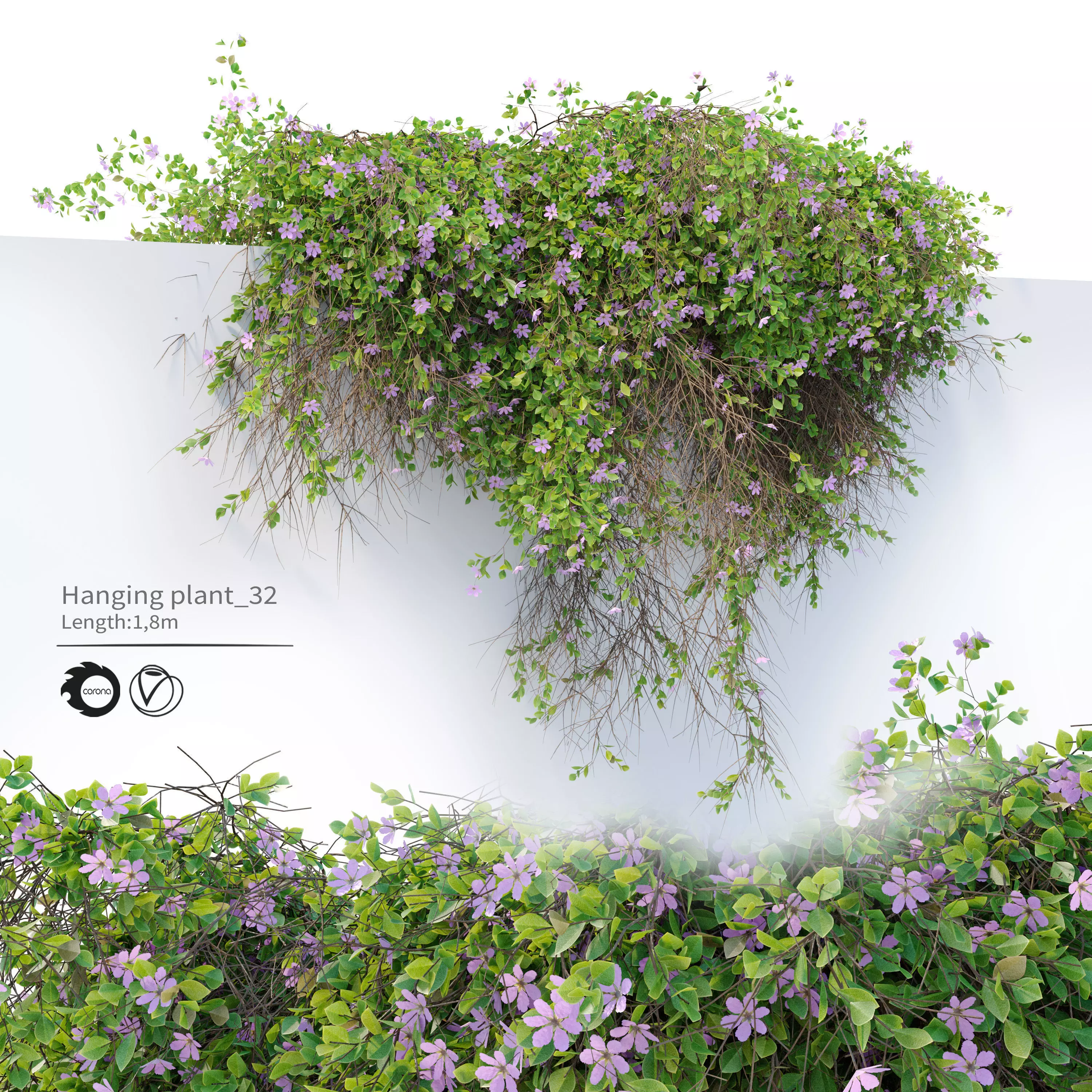 Hanging Plant 32 3D model