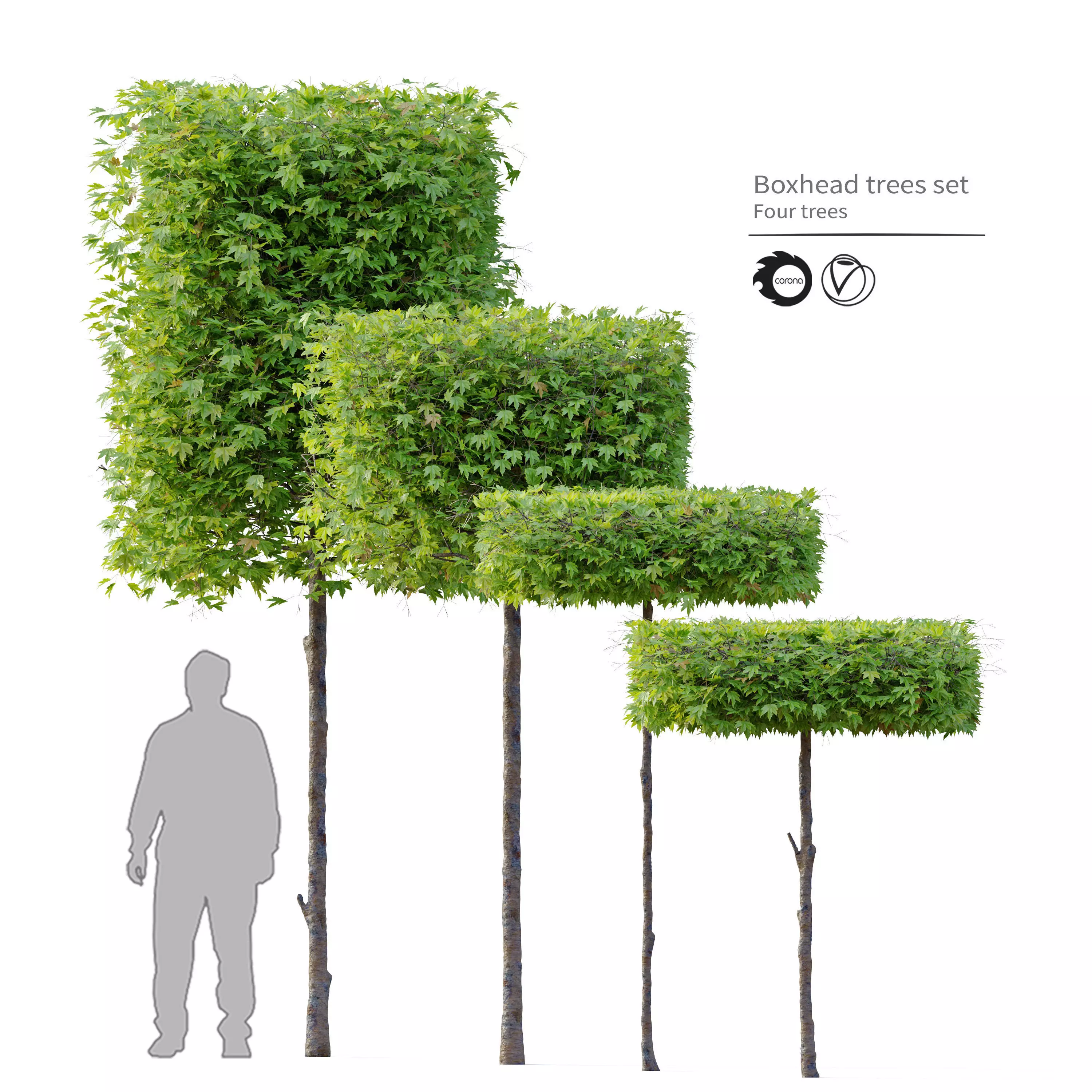 Boxhead trees set 3D model | CGTrader