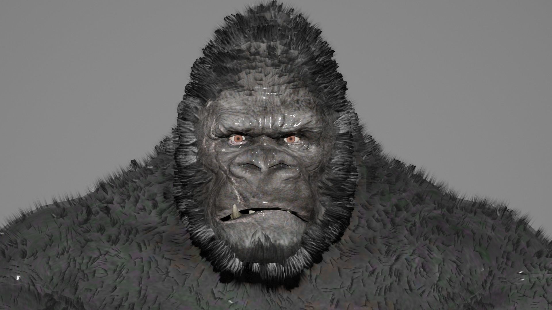 KING KONG 3D model_3