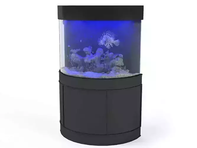 Black Metal Fish Aquarium