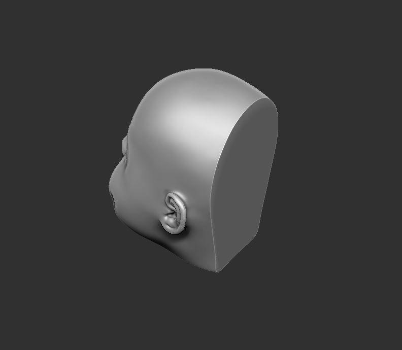 Head 50 3D print model_5