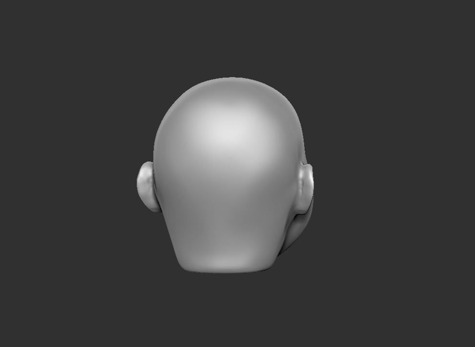 Head 50 3D print model_8