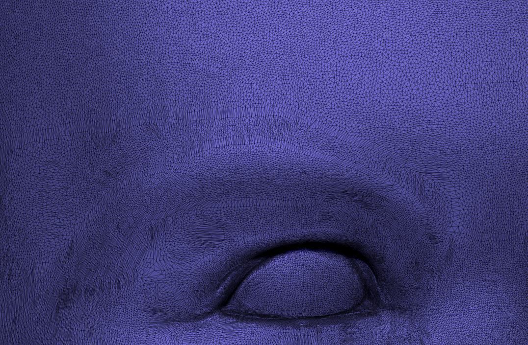 Head 50 3D print model_14