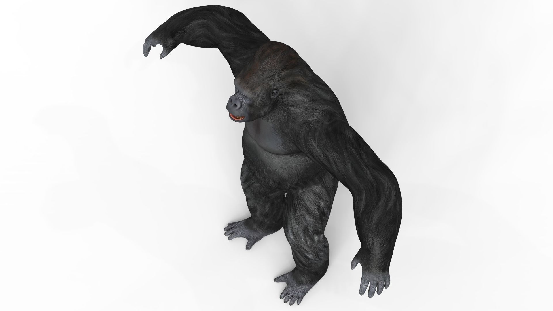 Gorilla With PBR Textures Low-poly 3D model_2