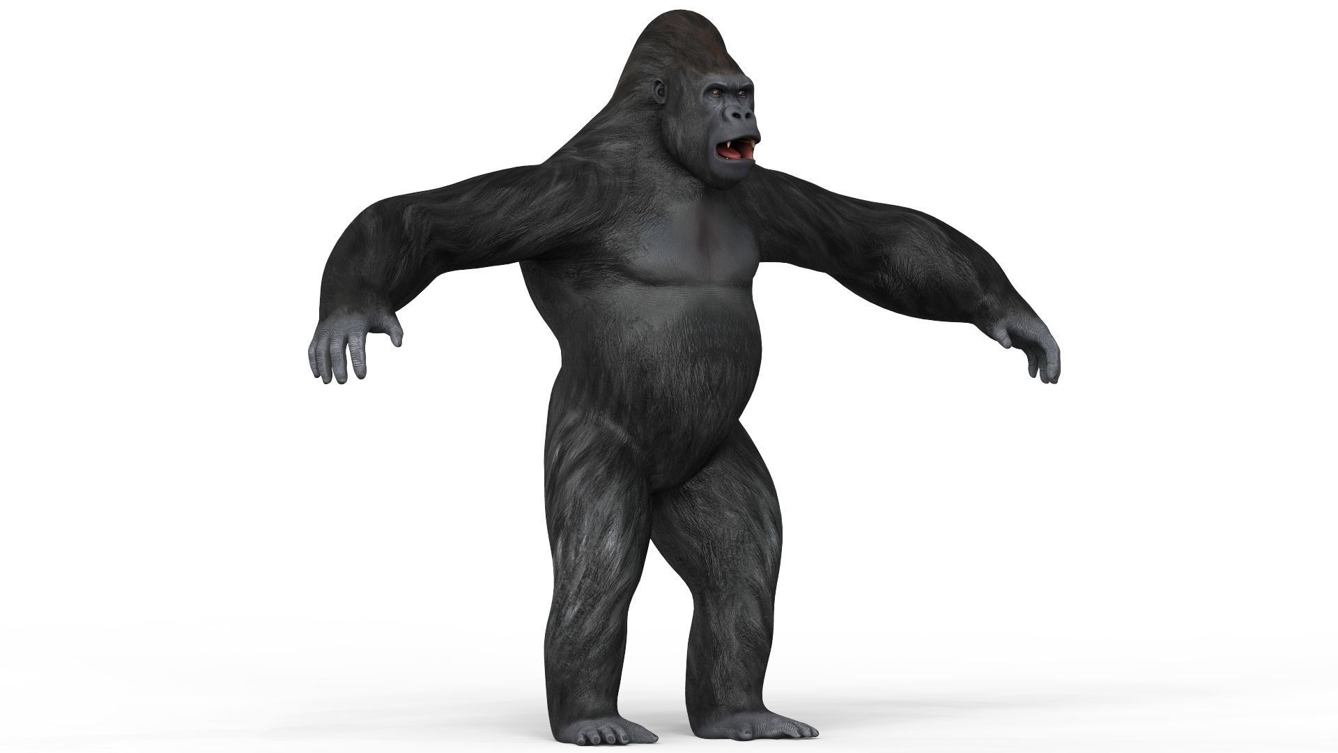 Gorilla With PBR Textures Low-poly 3D model_4
