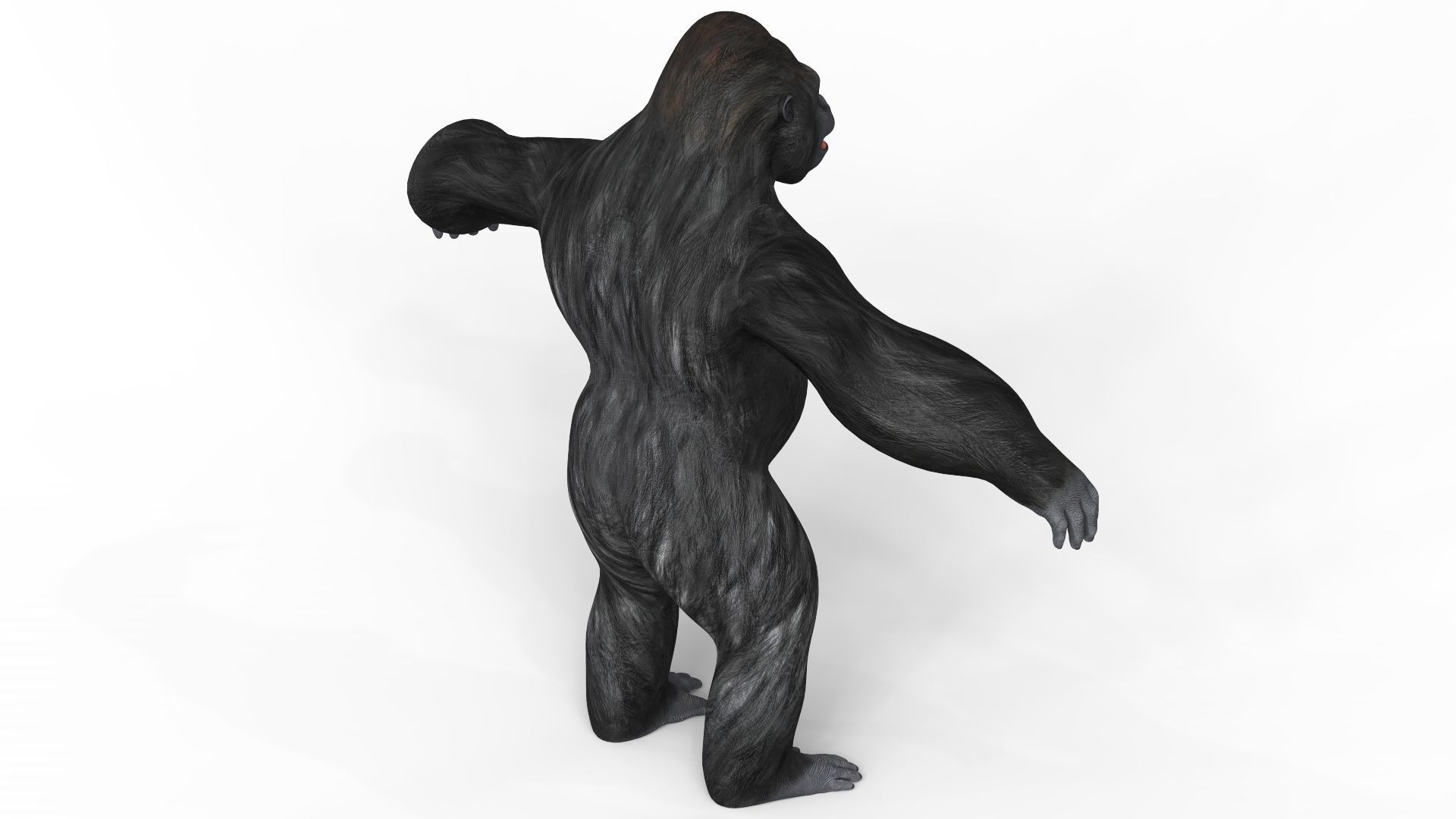 Gorilla With PBR Textures Low-poly 3D model_3