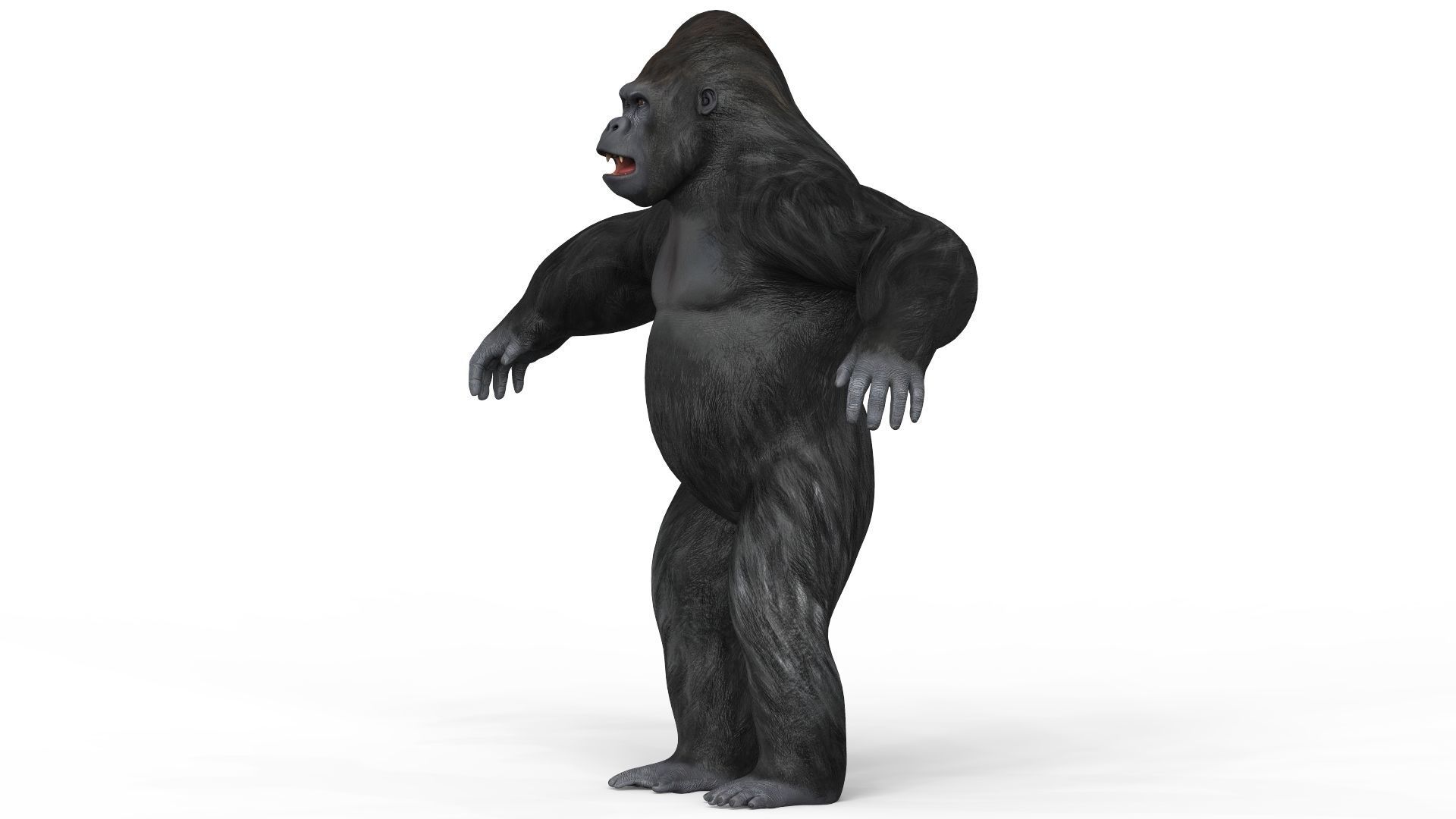 Gorilla With PBR Textures Low-poly 3D model_1
