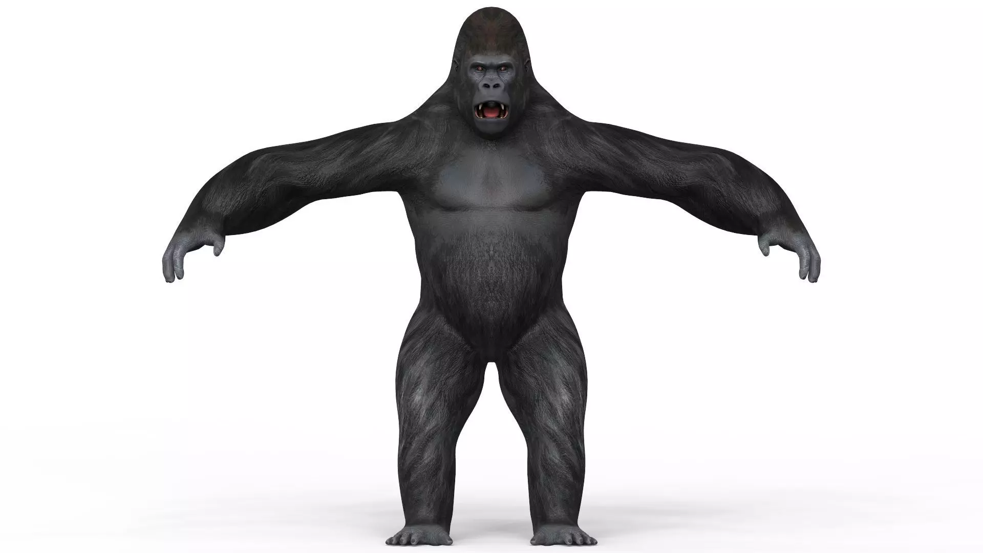 Gorilla With PBR Textures Low-poly 3D model_0