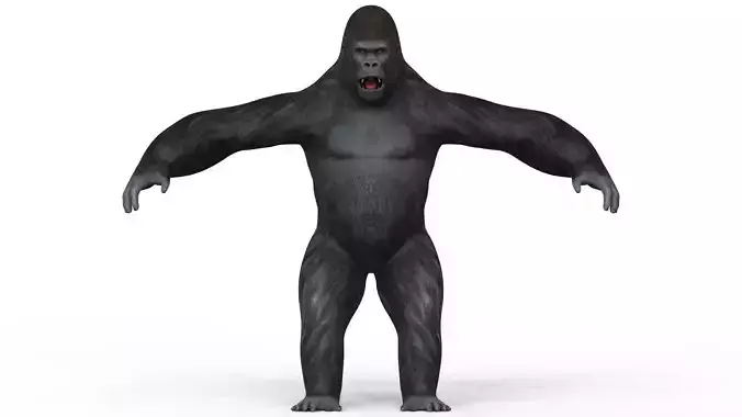 Gorilla With PBR Textures