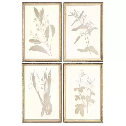 Pictures900 two framed floral prints in gold