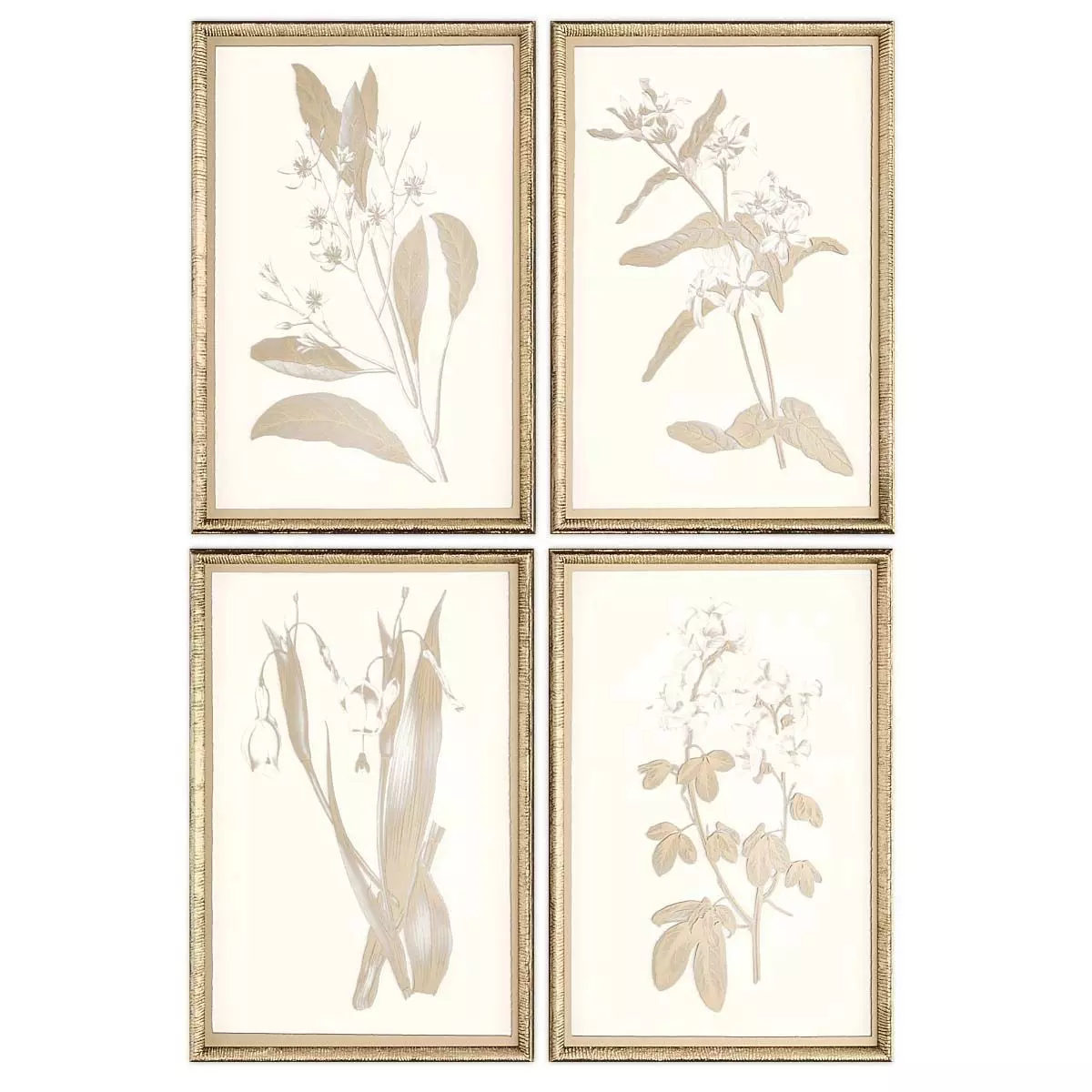 Pictures900 two framed floral prints in gold Low-poly 3D model_0