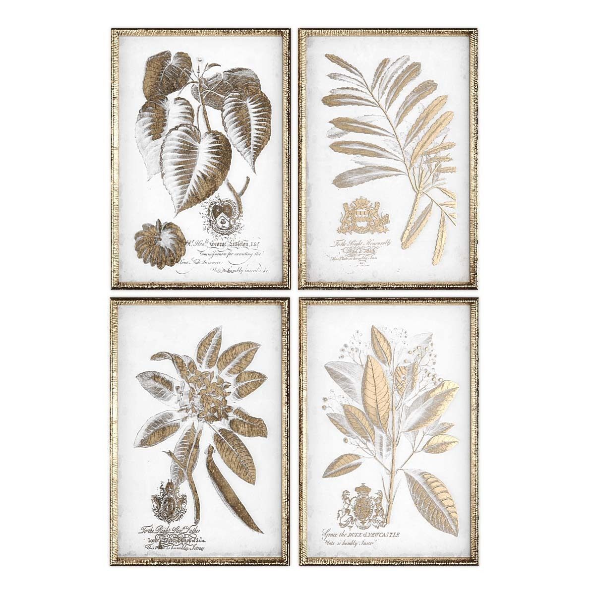 Pictures901 two butterfly framed prints Low-poly 3D model_1