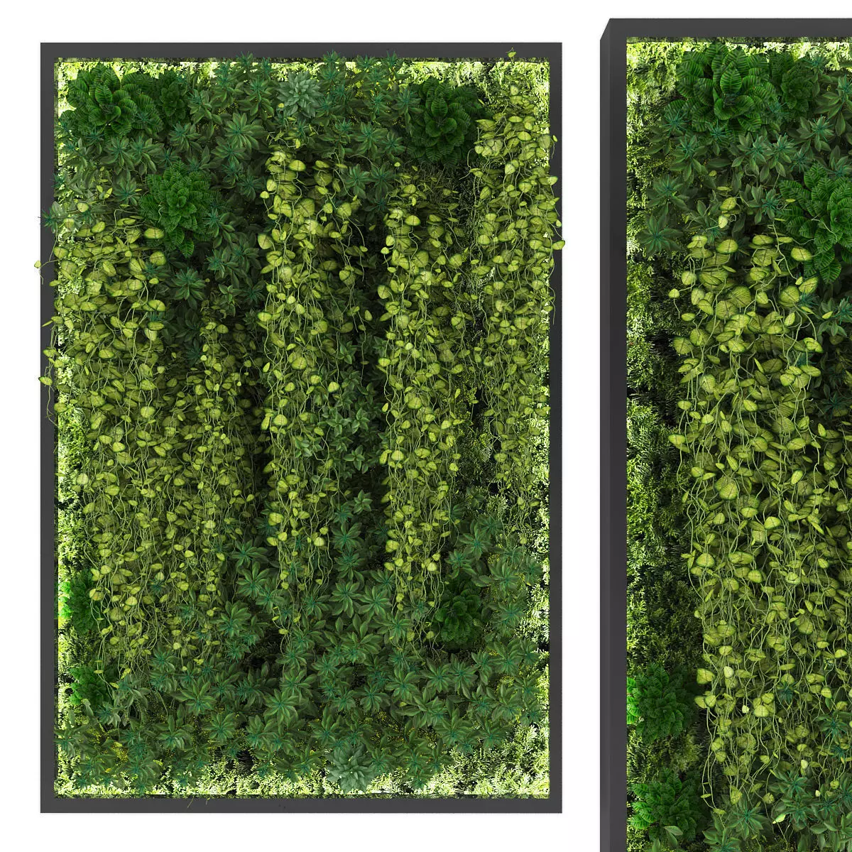 Vertical garden 174 Low-poly 3D model_0
