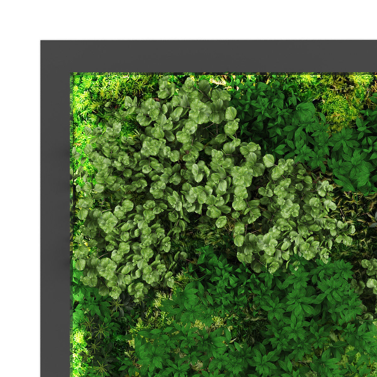 Vertical garden 178 Low-poly 3D model_1