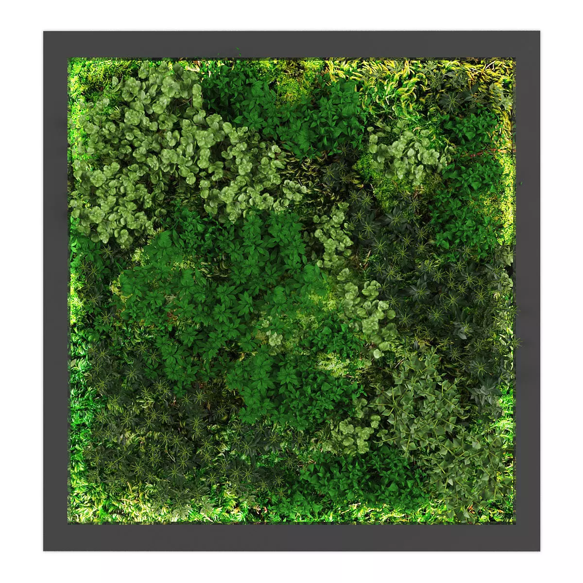 Vertical garden 178 Low-poly 3D model_0
