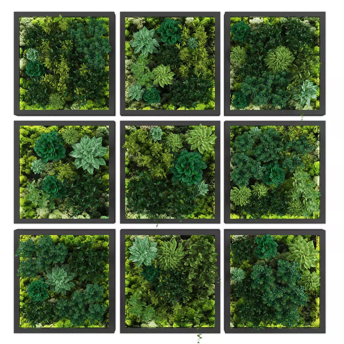 Vertical garden 181 Low-poly 3D model_0