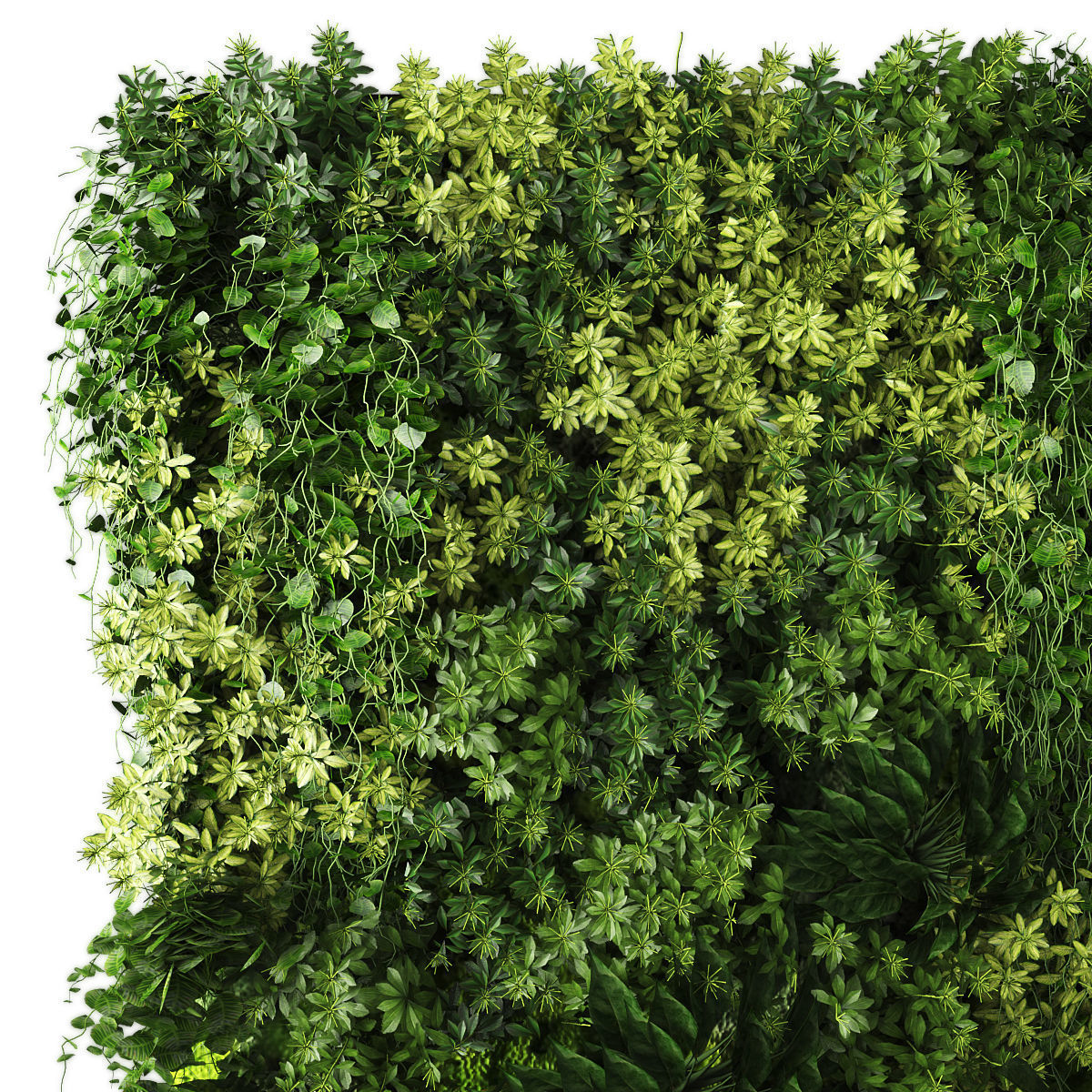 Vertical garden 182 Low-poly 3D model_1