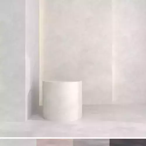 Decorative plaster v14