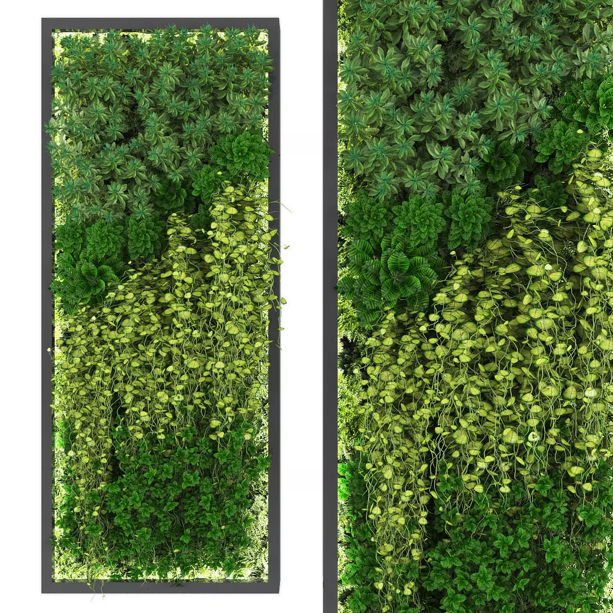 Vertical garden 185 Low-poly 3D model_0