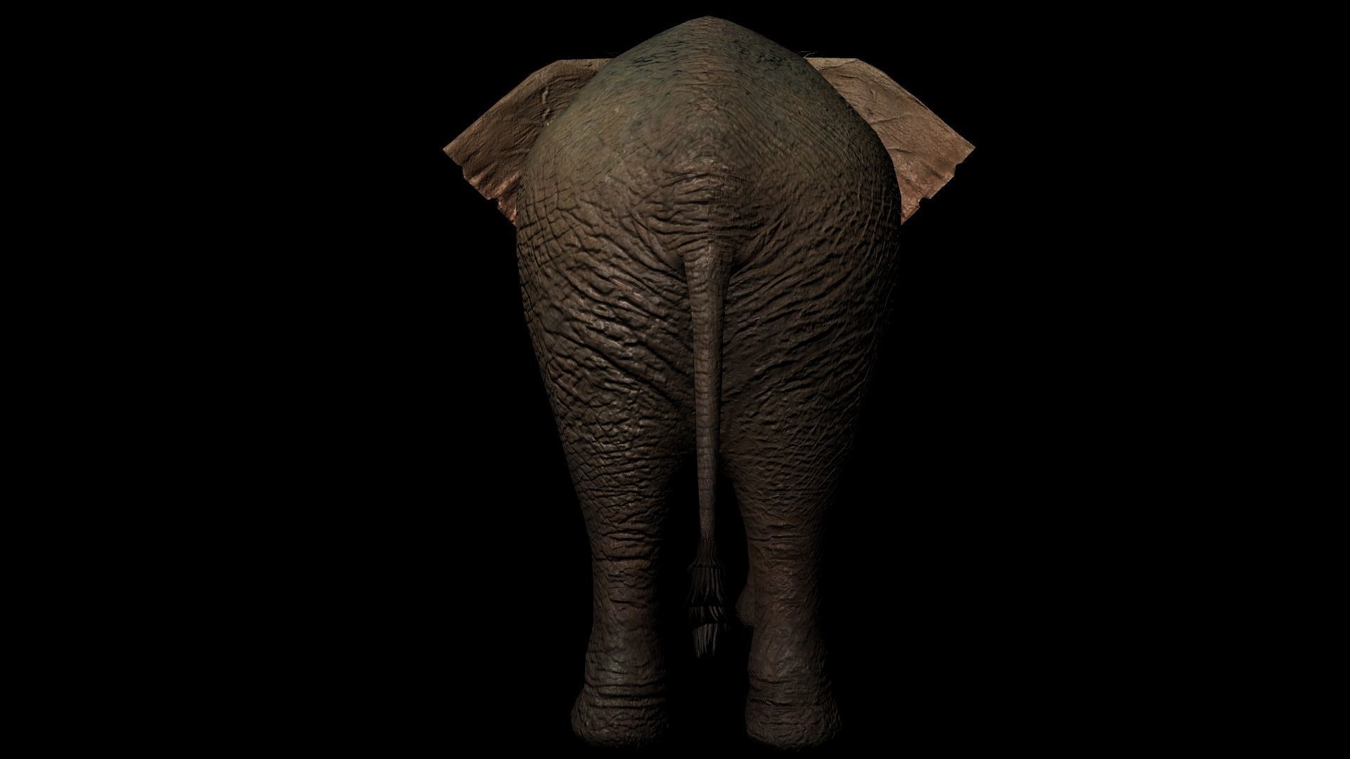Rigged ELEPHANT Low-poly 3D model_2
